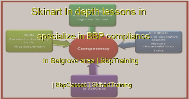 Skinart In-depth lessons in specialize in BBP compliance in Belgrove area | BbpTraining | BbpClasses | SkinartTraining-United States